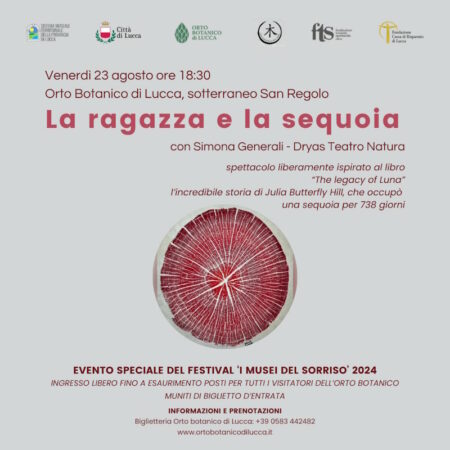 23 agosto 24 La ragazza e la sequoia @museidelsorriso