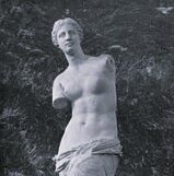 Venere-di-Milo